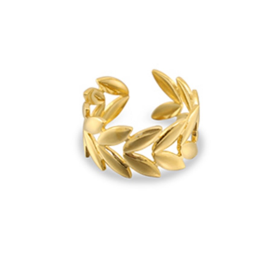 SET Ringe